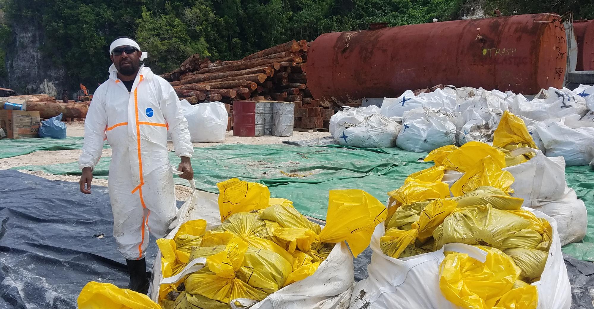Environmental cleanup bags